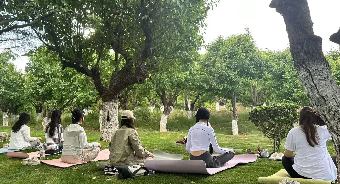 咪咕体育平台