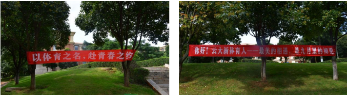 咪咕体育手机版